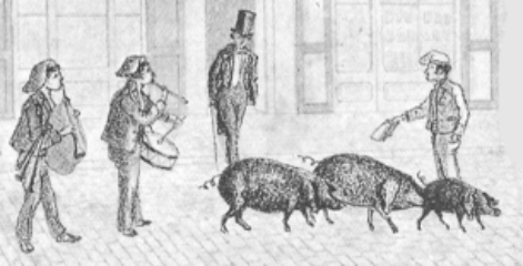 1850